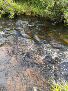 Mehr über den Artikel erfahren 2. Tag – Glück gha😍