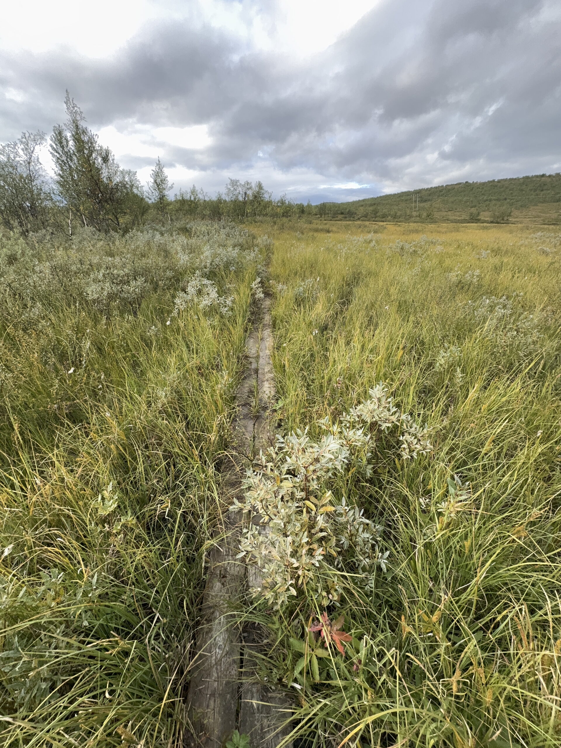 Du betrachtest gerade Reisanationalpark