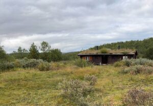 Mehr über den Artikel erfahren Gring ache u seckle